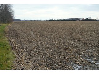 Property photo 22 - 175 Acres Offered in 5 Tracts - Tontogany, Ohio Farm Land Auction